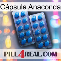 Cápsula Anaconda viagra2